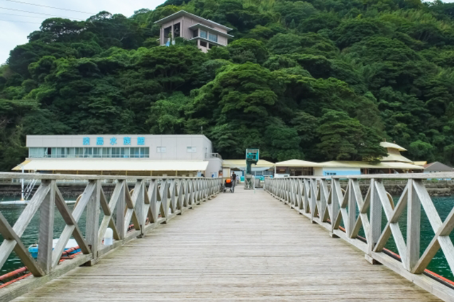 セブンイレブン