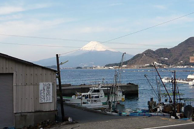 沼津市内浦重寺 土地 - 162.30m²(49.09坪)