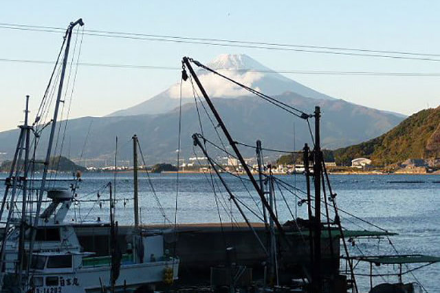 沼津市内浦重寺 土地 - 162.30m²(49.09坪)