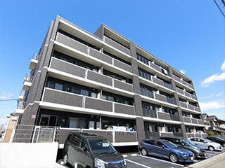 沼津市筒井町　シェルフ藤